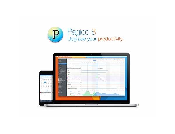 Pagico for Windows - Download it from Habererciyes for free